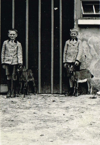 Gerhard Ziegler (gefallen, Onkel von Karl Bolz jun.) und Erwin Düring mit zwei Ziegenböcken (1930er Jahre)